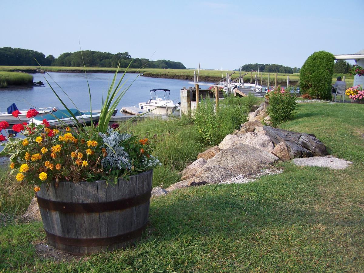 Shea'S Riverside Inn & Motel Essex المظهر الخارجي الصورة